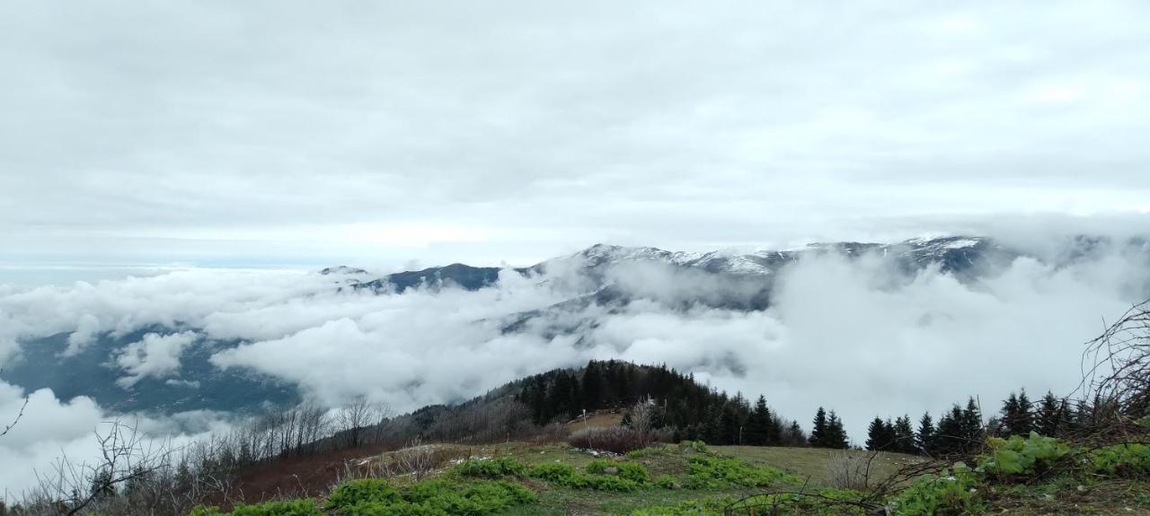 Erdem Apart Otel Trabzon Ngoại thất bức ảnh