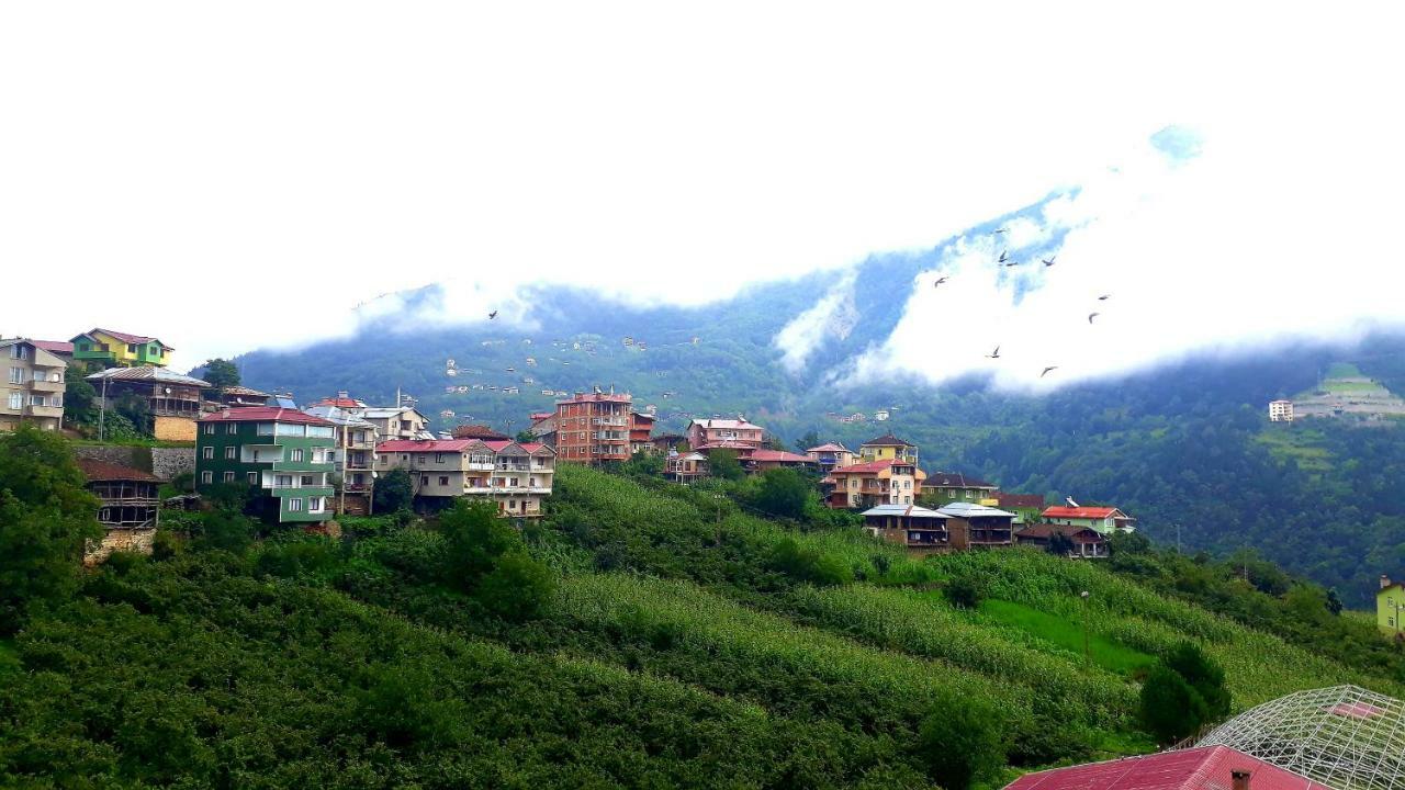 Erdem Apart Otel Trabzon Ngoại thất bức ảnh